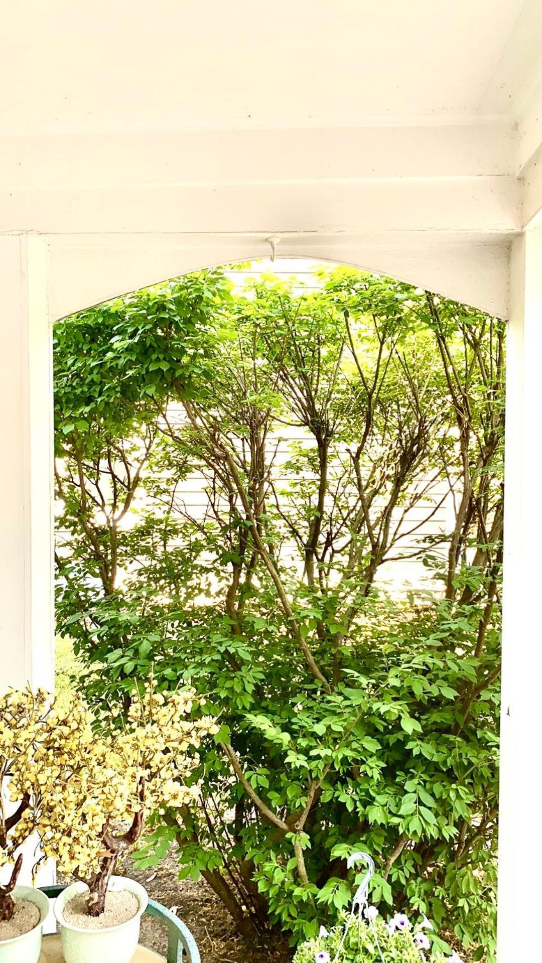 B3 A Private Room In Naperville Downtown With Desk And Wi-Fi Near Everything מראה חיצוני תמונה